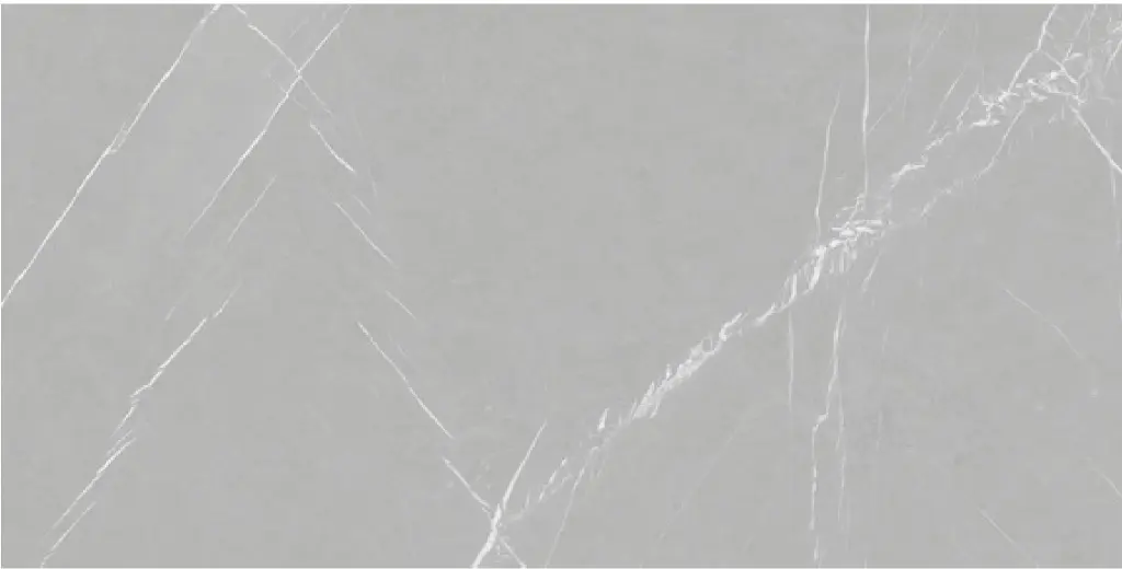 Bulgaria Light Gray 24x48 TC6012A0451 | Wholesaler tile